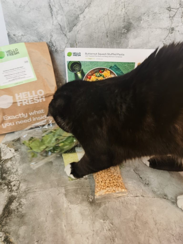 Cat trying to steal ingredients for pasta recipe on marble background