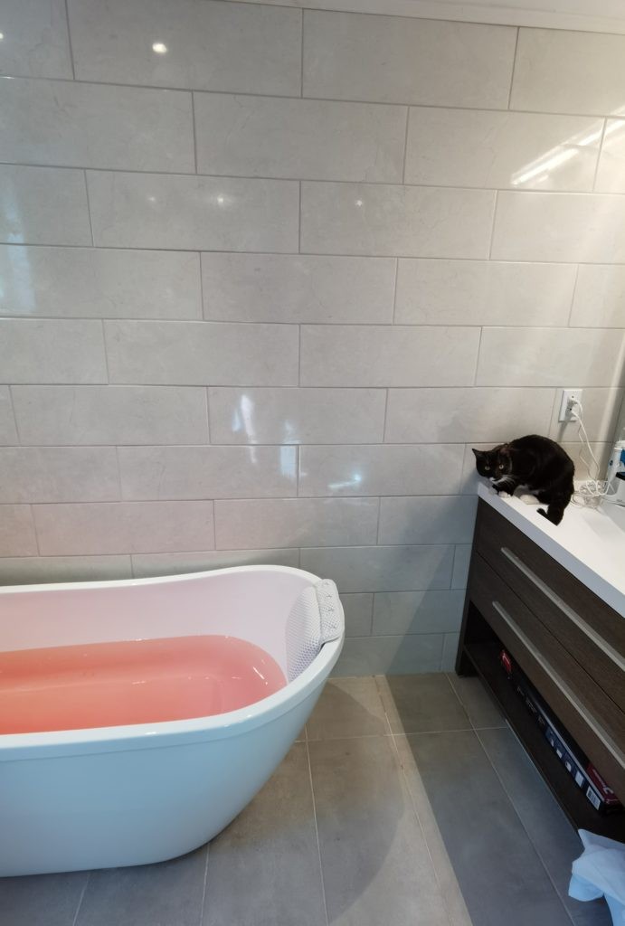 Cat staring at bath with Cherry Almond Bath Bomb by Bath Scents (Dollarama)