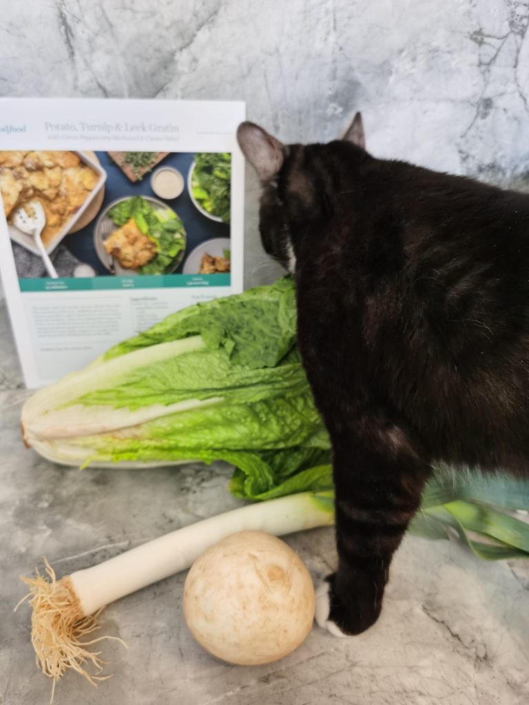 Cat trying to eat GoodFood ingredients