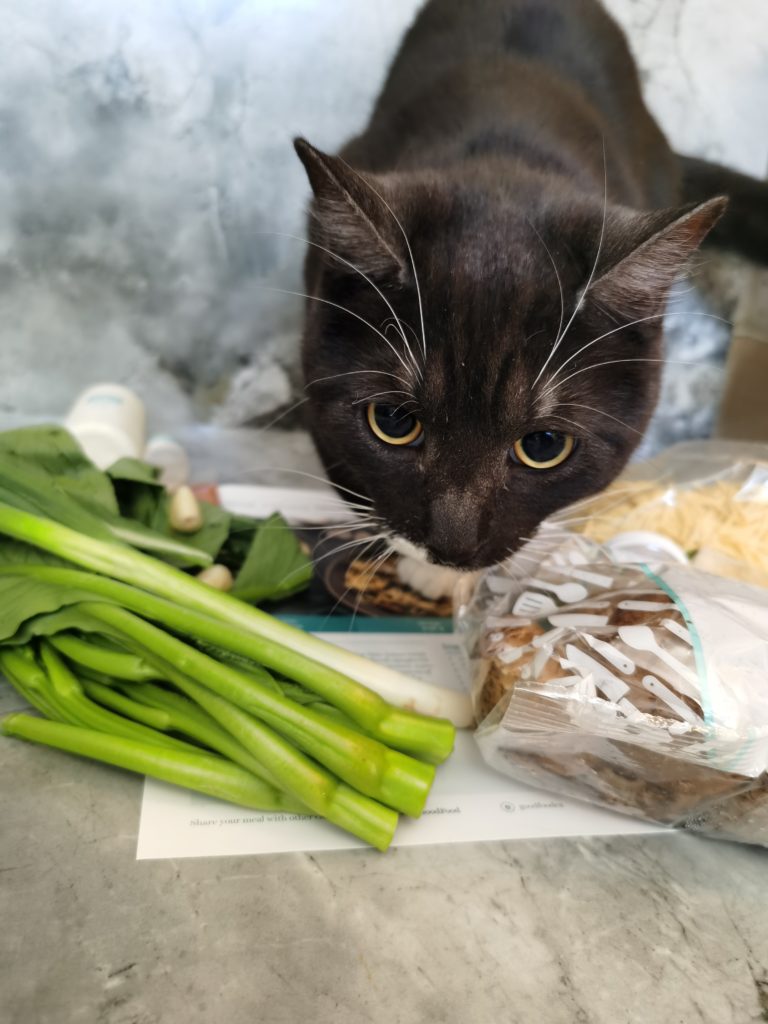 Cat trying to eat GoodFood ingredients