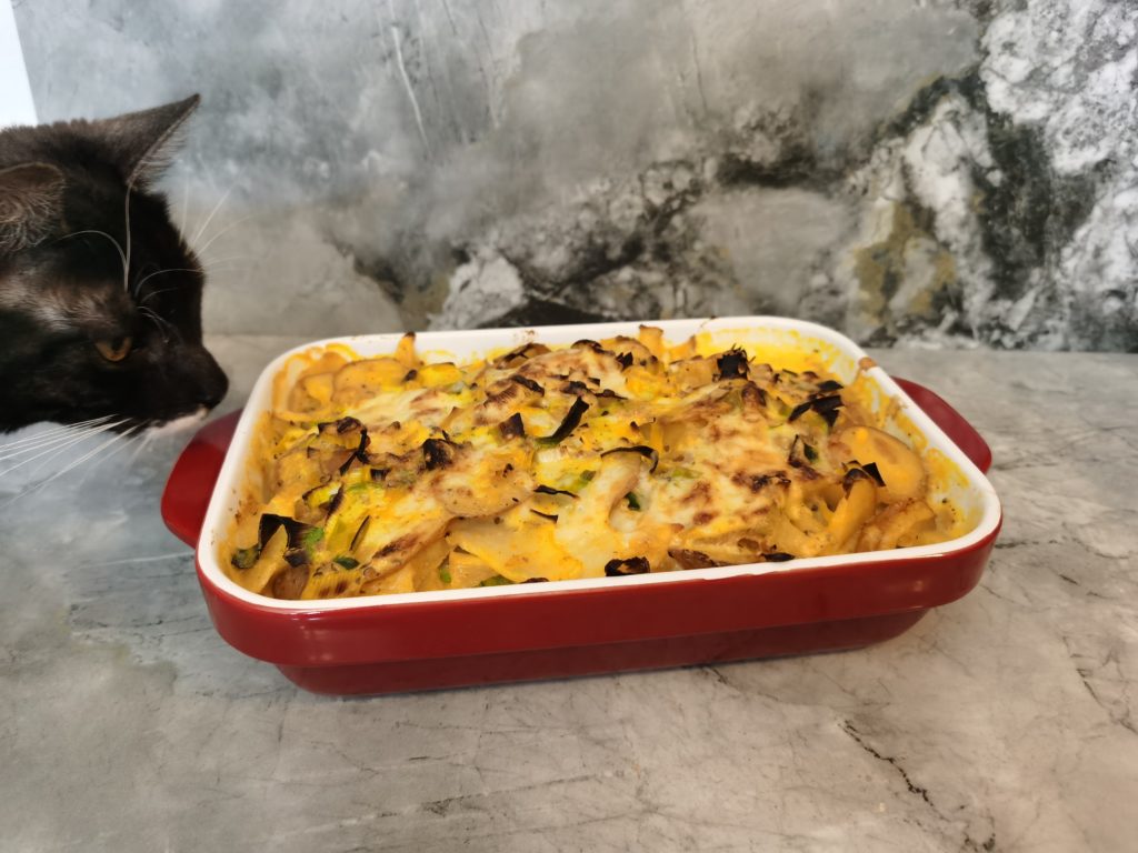 Cat trying to eat GoodFood gratin