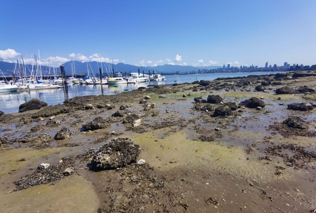 Jericho Beach Vancouver