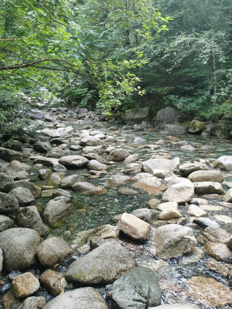 Shannon Falls in Squamish