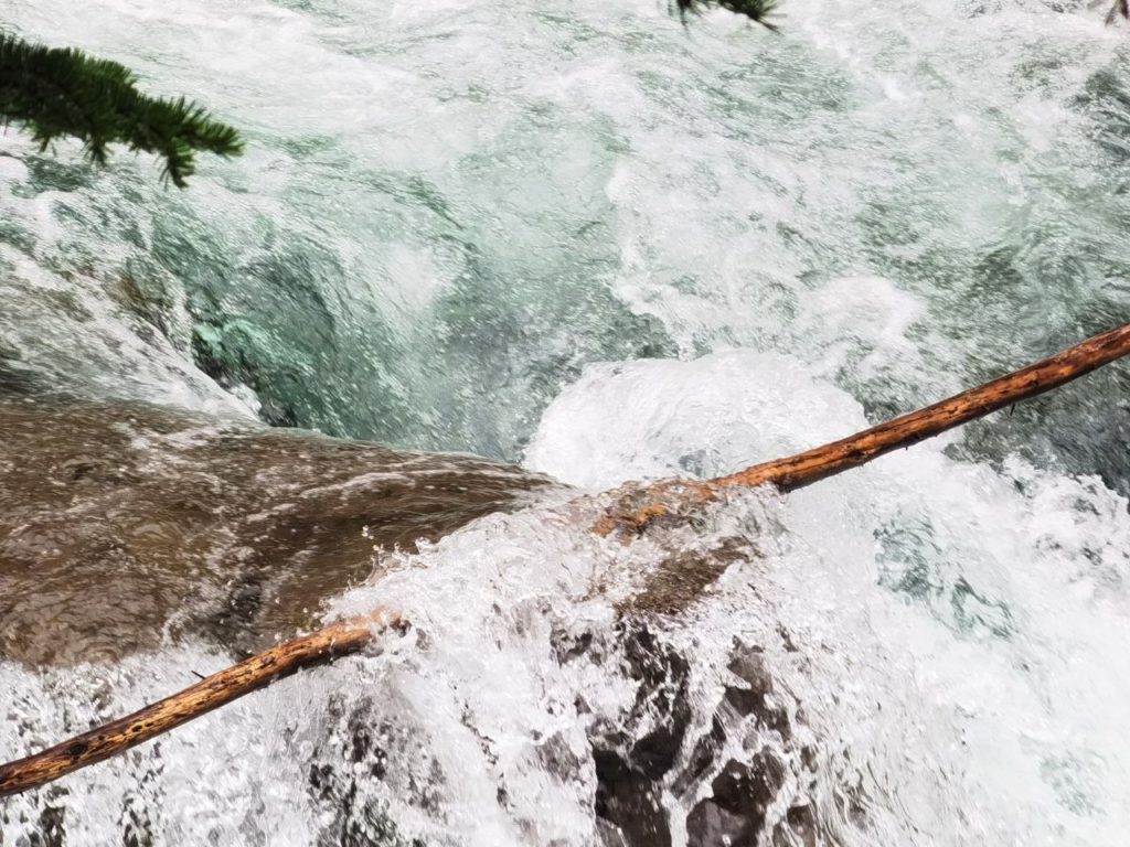 Maligne Canyon water pushing big branch