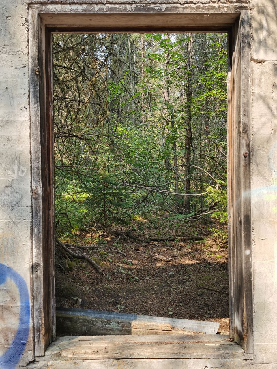 Old ruins in Banff