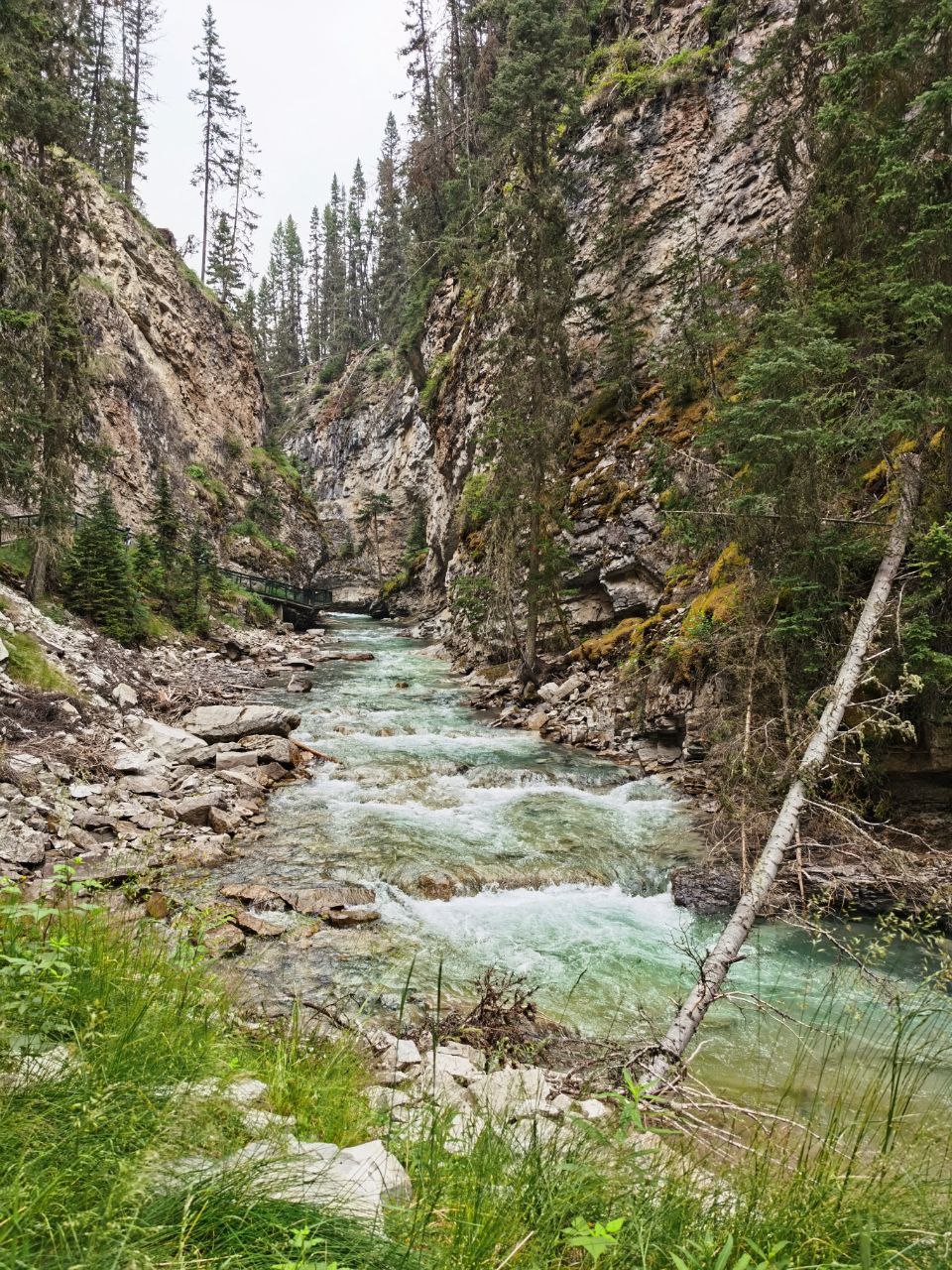 Johnston Canyon Trail rapids