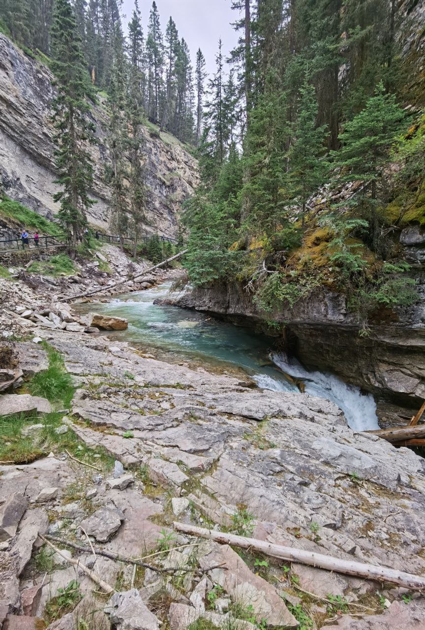 Johnston Canyon Trail rocks, trees and water