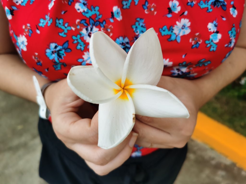 Woman holding a white flower in Varadero Cuba