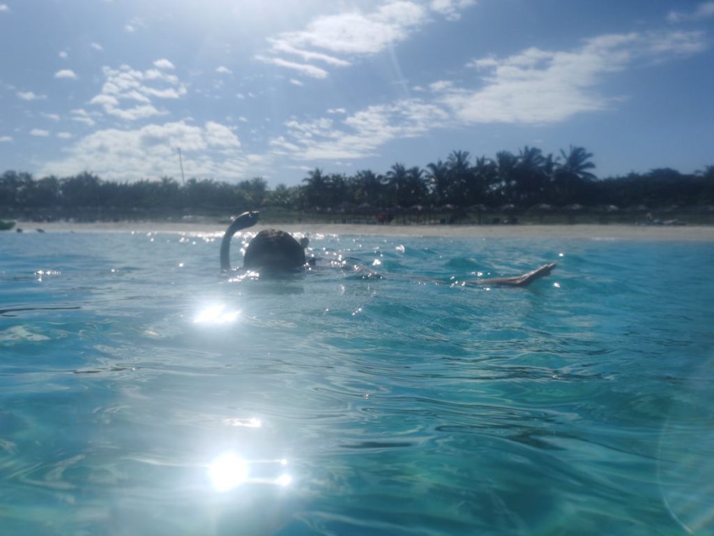 Snorkeling in Varadero Cuba